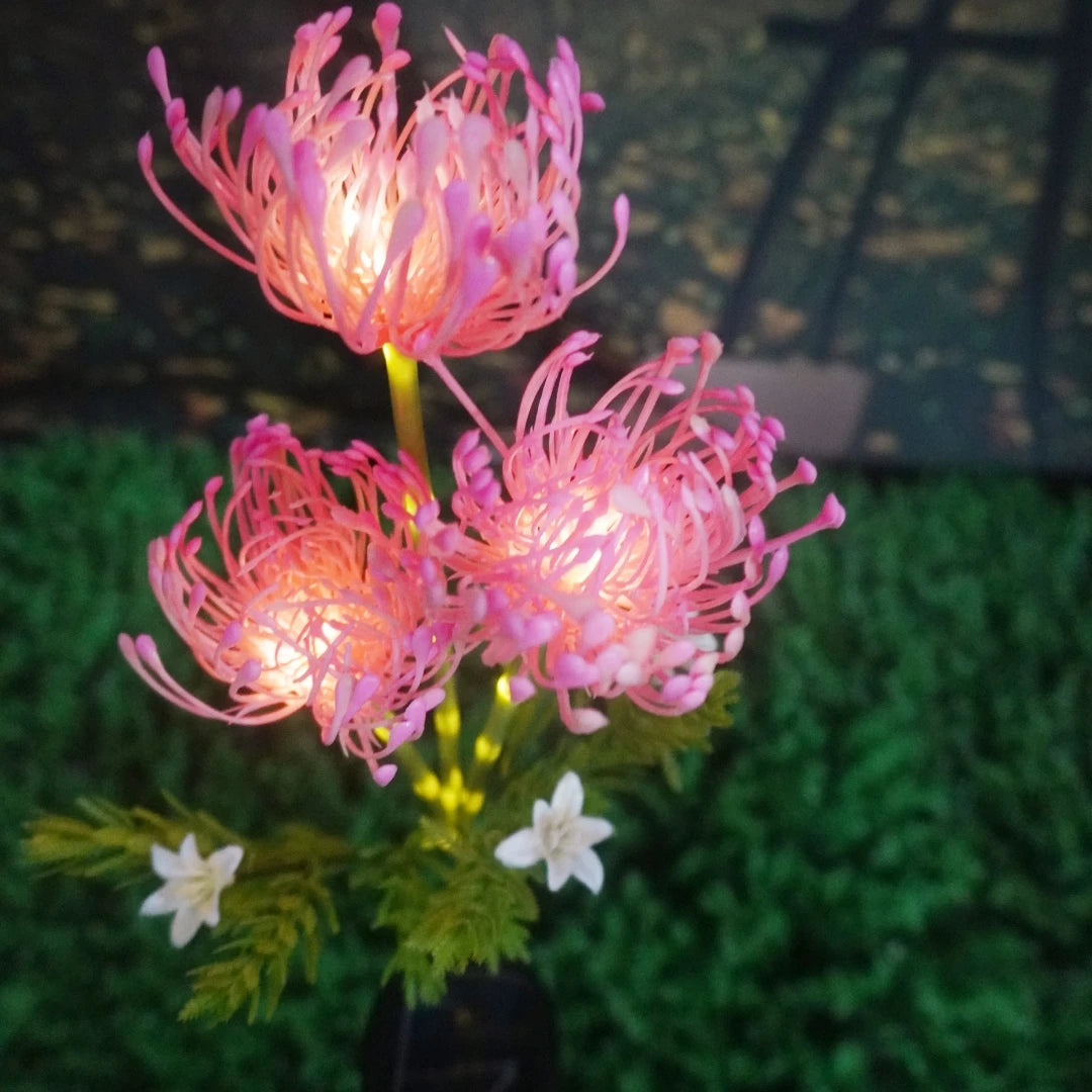 Solar Spider Chrysanthemum LED