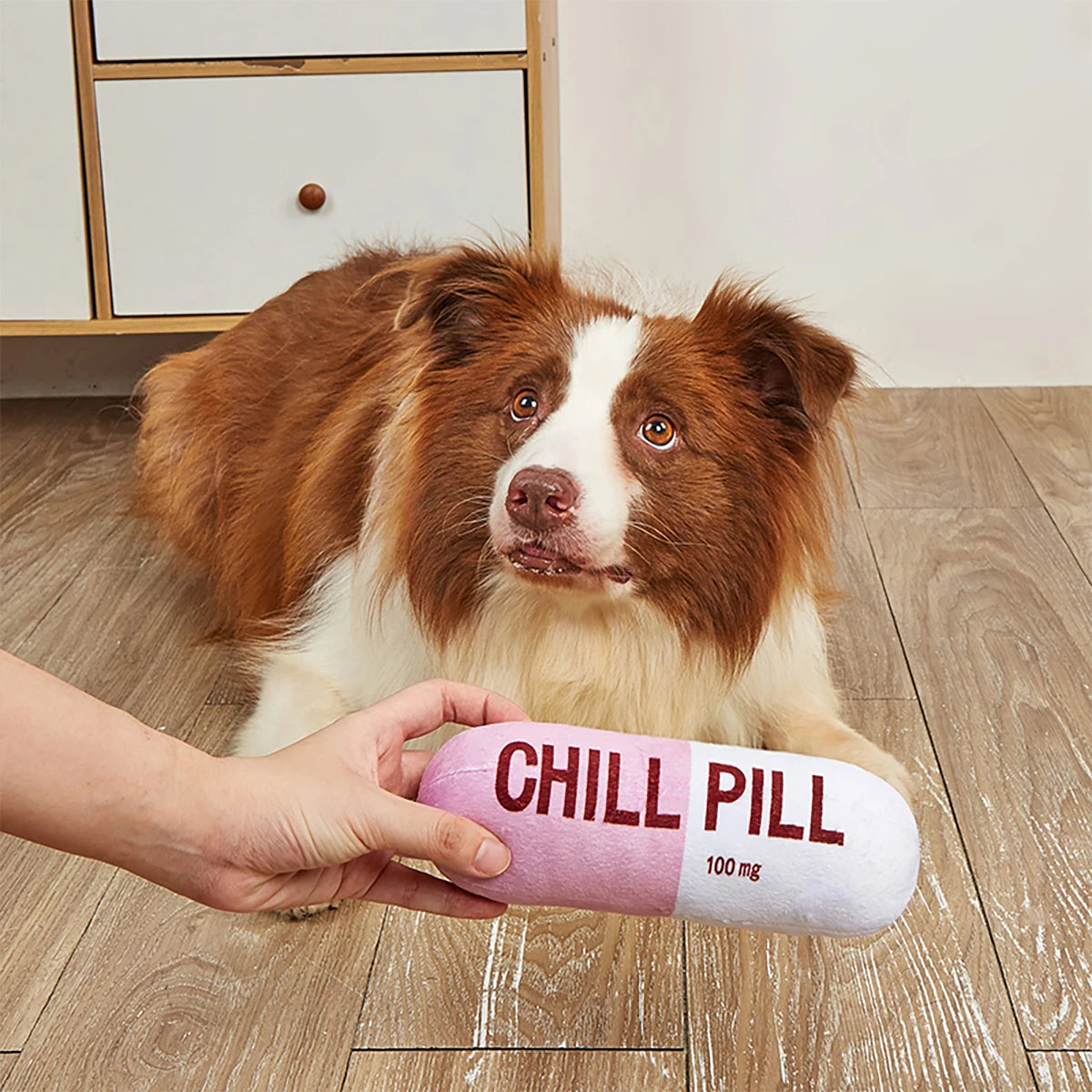 Chill Pill Plushie