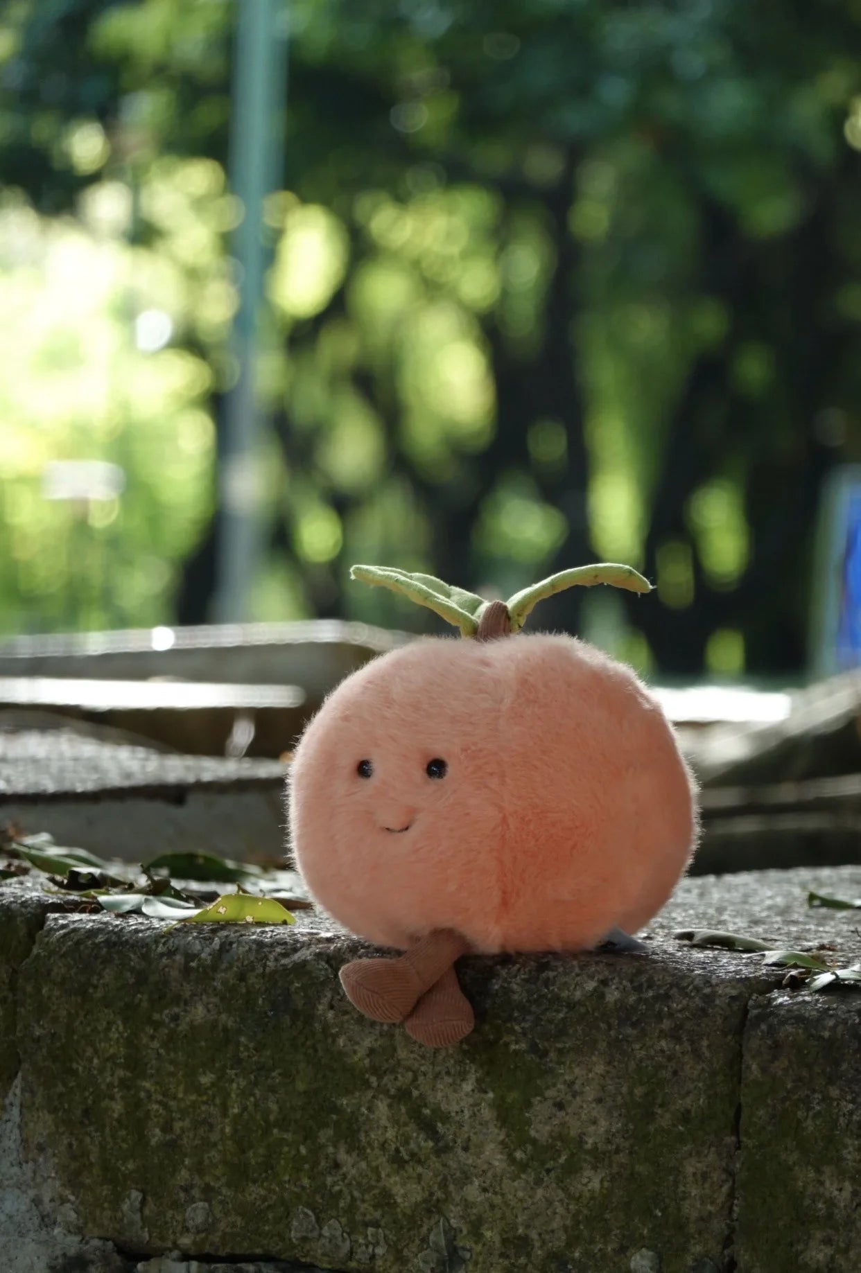 Jelly Cat Fruit Plushies