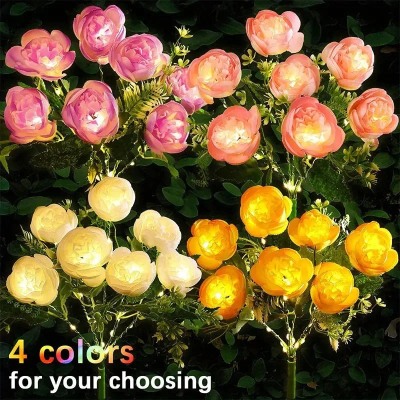 Solar Peony LED