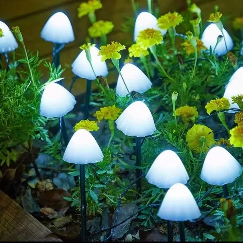 Solar Mushroom Solar LED