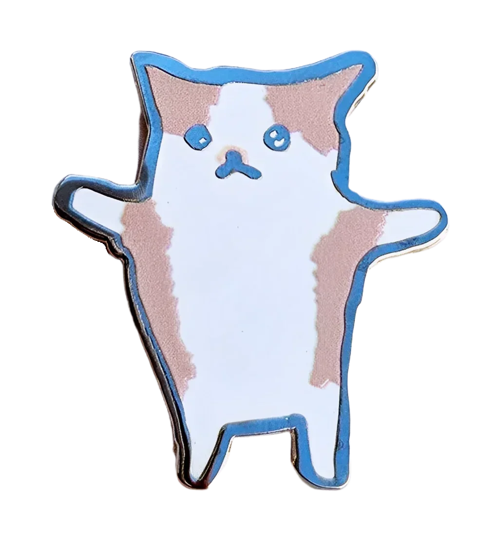 TikTok Meme Cat Pins