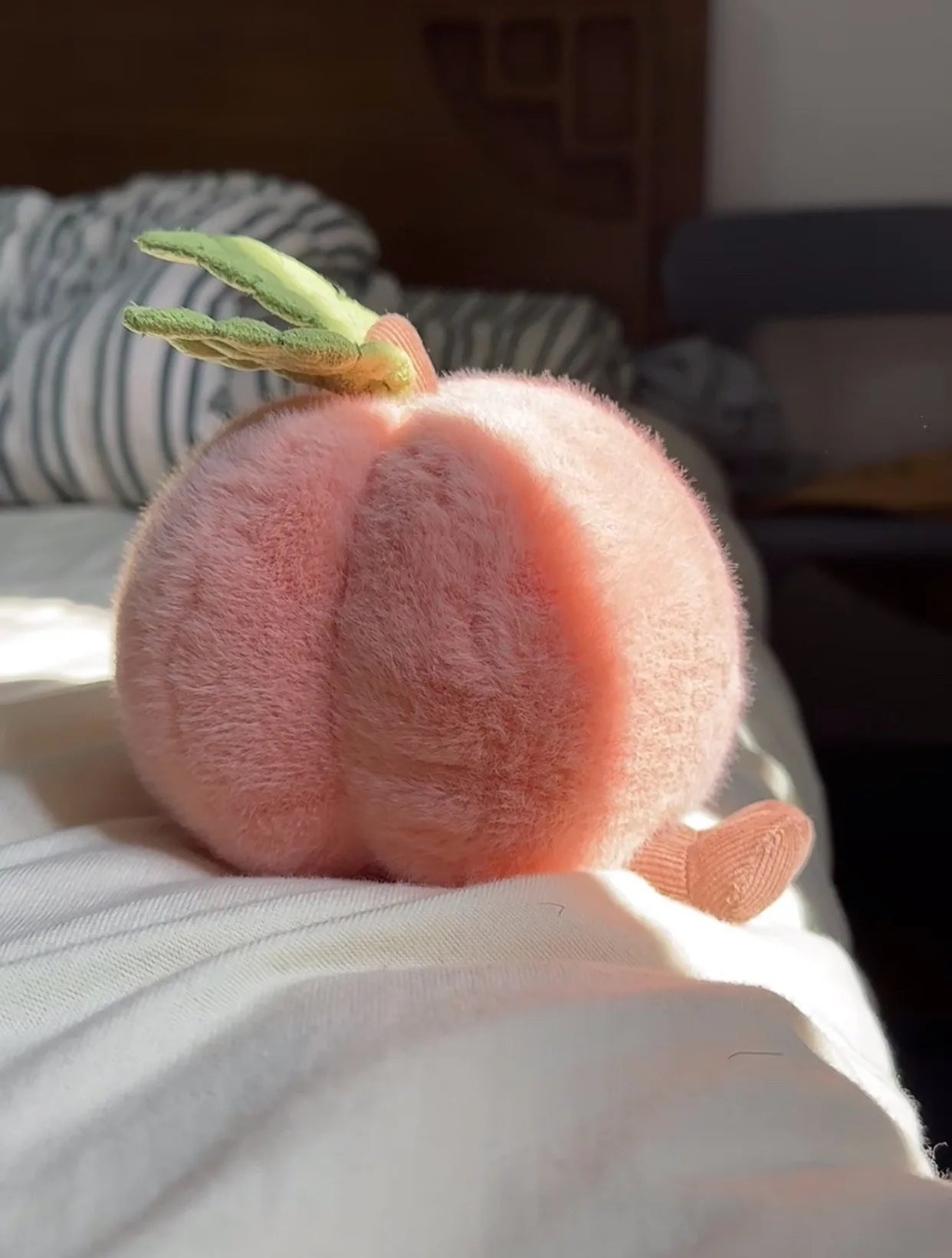 Jelly Cat Fruit Plushies