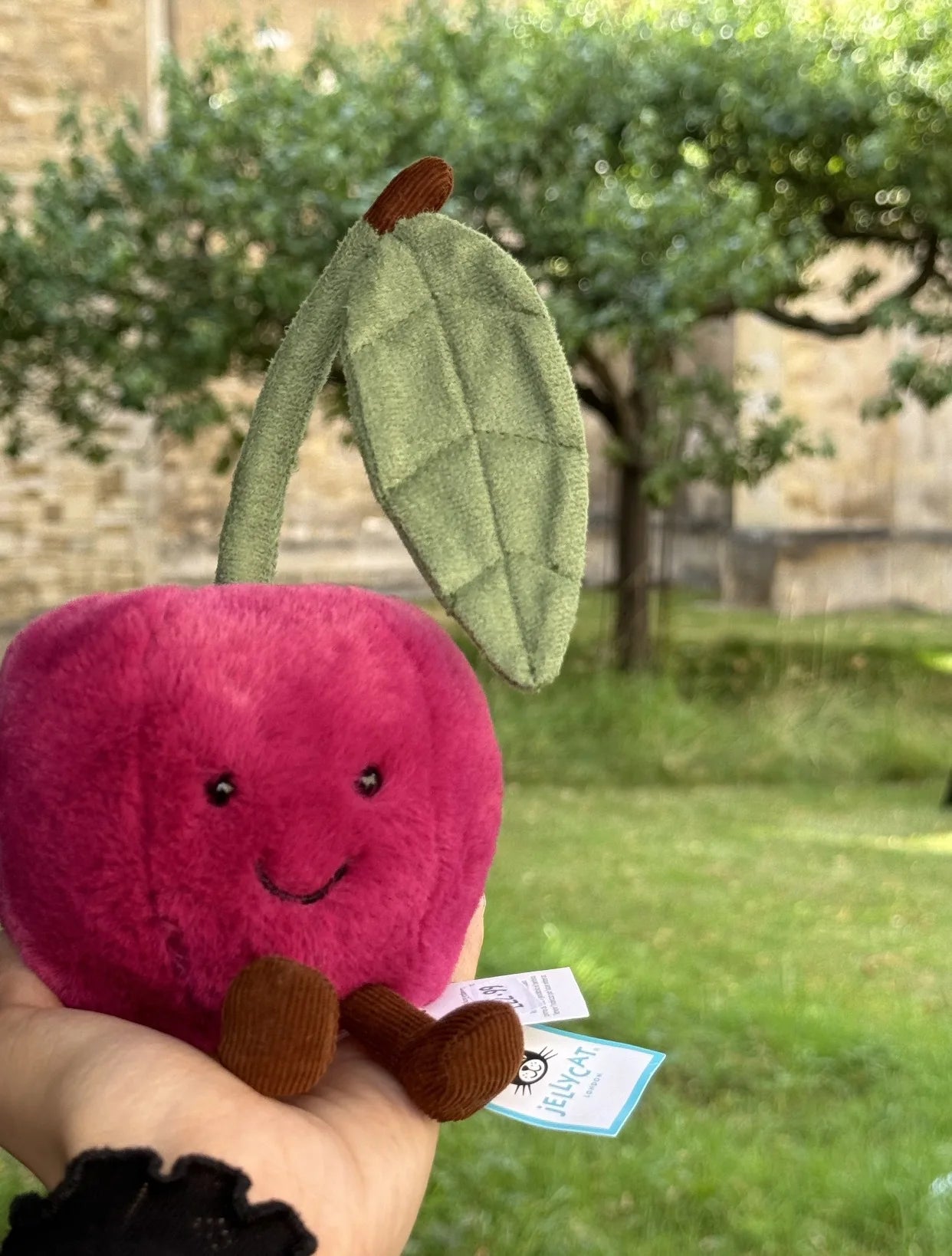 Jelly Cat Fruit Plushies